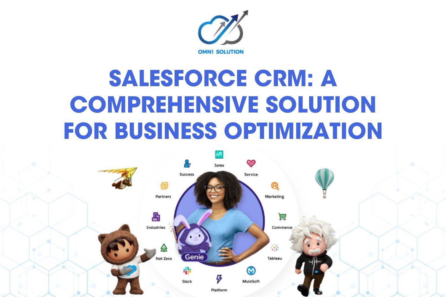Salesforce CRM: A Comprehensive Solution for Business Optimization