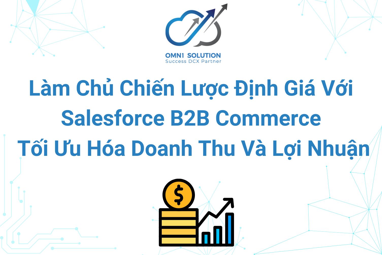 Làm Chủ Chiến Lược Định Giá Với Salesforce B2B Commerce: Tối Ưu Hóa Doanh Thu Và Lợi Nhuận