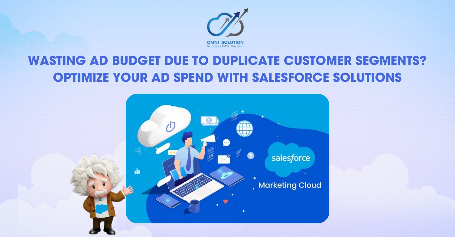Wasting Ad Budget Due to Duplicate Customer Segments? Optimize Your Ad ...