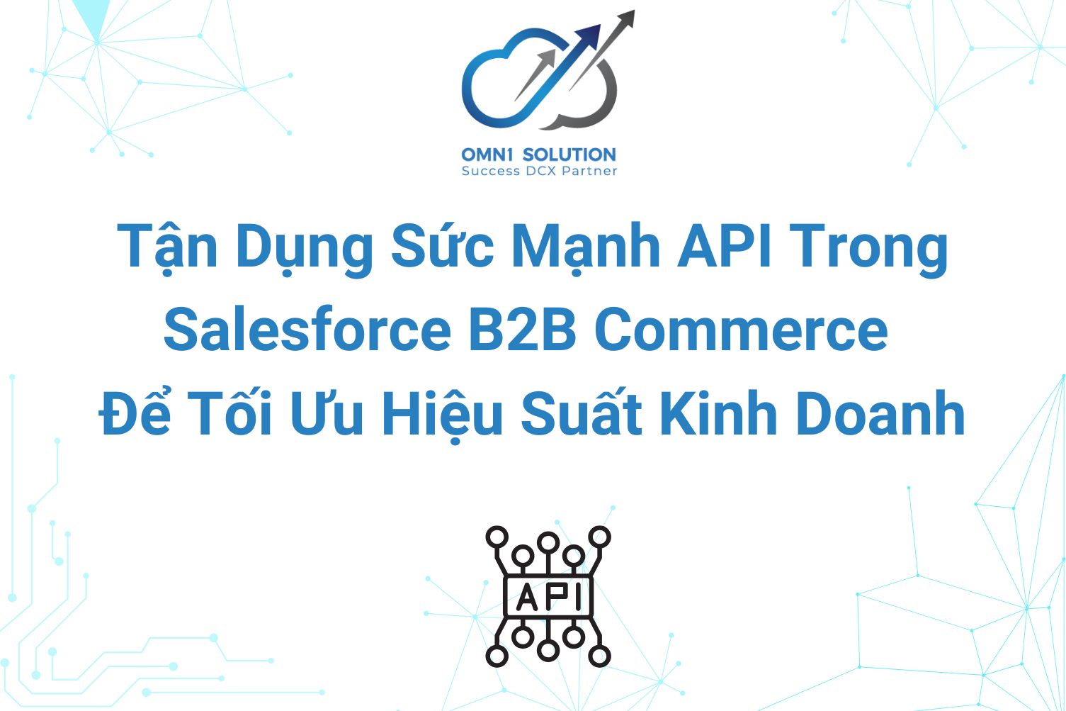 Tận Dụng Sức Mạnh API Trong Salesforce B2B Commerce Để Tối Ưu Hiệu Suất Kinh Doanh